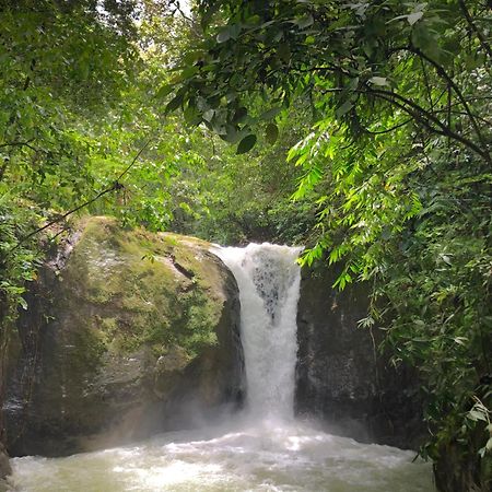 Rio Tico Safari Lodge Punta Mala Εξωτερικό φωτογραφία
