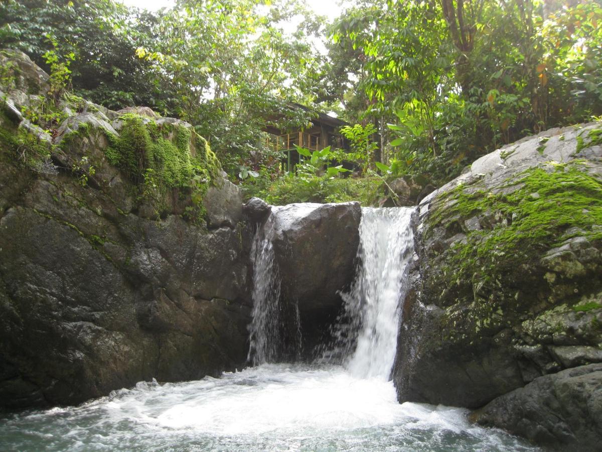 Rio Tico Safari Lodge Punta Mala Εξωτερικό φωτογραφία