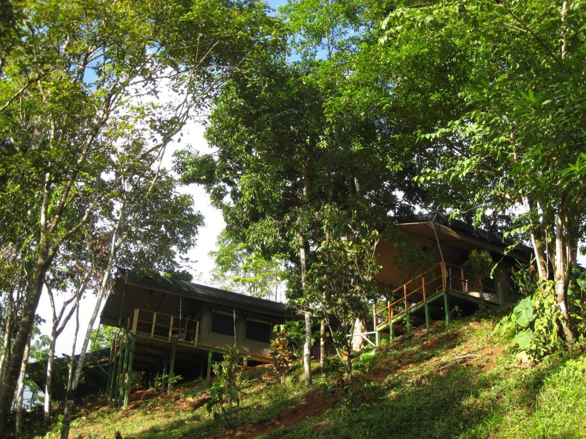 Rio Tico Safari Lodge Punta Mala Εξωτερικό φωτογραφία