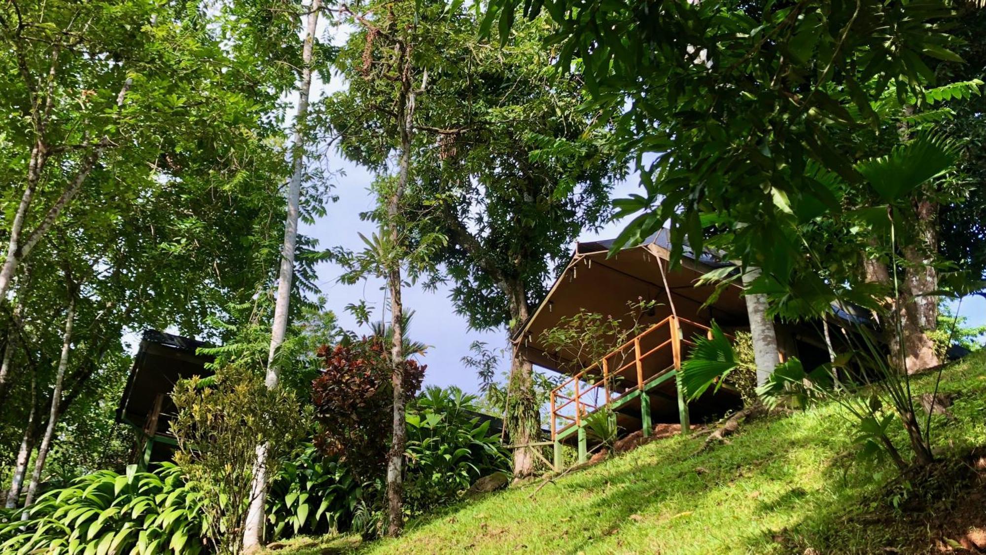 Rio Tico Safari Lodge Punta Mala Εξωτερικό φωτογραφία